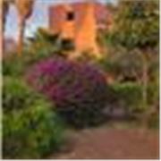 Enseignante passionnée (arabe _français_anglais et maths....) 