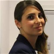 Lezioni di diritto, economia ed informatica; ed aiuto-redazione tesi ad ottimi prezzi!
