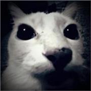 Profesor de ingles basico para niños y principiantes