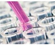 I am currently finishing my MSci in Pharmaceutical Science with a strong background in chemistry and three years of teaching.