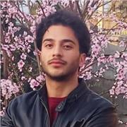 Electrical engineer provides engaging and customized tutoring services.