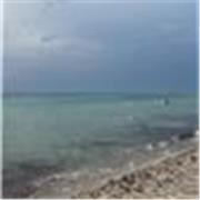 Insegnante di Photoshop e modellazione 3d con Alias