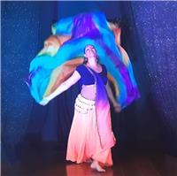 Aulas de dança do ventre (certificado pelo mec, unesco e academia de artes no cairo), dança oriental, dança cigana e alongamento corporal