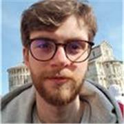 Mi propongo per lezioni private online di Storia dell'Arte 