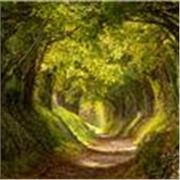 I am a nutritionist. I teach healthy food