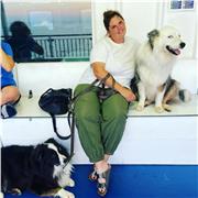 Offro lezioni private a bambini della scuola primaria e ragazzi delle medie adattandole alle loro esigenze.