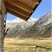 Studentessa di Architettura offre ripetizioni di Matematica e Fisica scuole elementari, medie e superiori