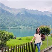 Business law, commercial law, tax law, international law