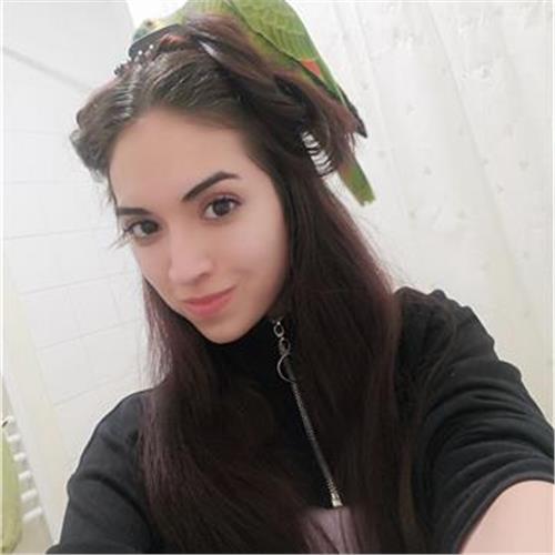 Cours D'espagnol Découvrez L'amérique Latine, Sa Culture, Ses