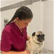 Profesora de apoyo escolar especializada en la rama científica sanitaria. Refuerzo asignaturas como biología, matemáticas, química