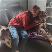 Ich biete Englisch Nachhilfe im Kreis Nürnberger Land an. Ich bin 17 Jahre alt und mache dies als Minijob