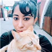 Se dan clases particulares de inglés y francés para niños y adolescentes de todas las edades