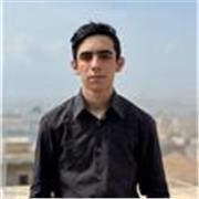 Offro principalmente lezioni di tutte le materie delle scuole elementari/medie/superiori, di tutti gli indirizzi.