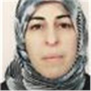 Affordable Arabic lessons ………………………………