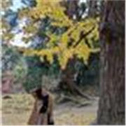 Ripassare la Storia attraverso i molteplici collegamente in vari ambiti di studio, la rende una materia dinamica e viva