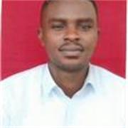 Mathematics Tutor/ Data Analyst