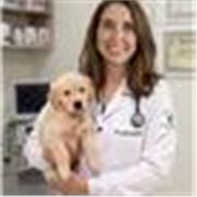 Aulas particulares online de diversas disciplinas, para estudantes de medicina veterinária
