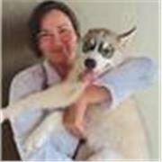 Médica veterinária com experiência em tutoria online e coordenação de grupo de estudos