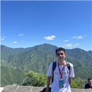 16 Year Old student willing to help secondary school students improve and pass their maths GCSE, aiming for grade 9