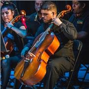 Ofrezco clases particulares de lenguaje musical y también de materias sociales como historia, también matemáticas de primaria