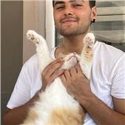 Englischunterricht für Kinder von Masterstudent in englischem Studiengang, Berlin, online oder Präsenz