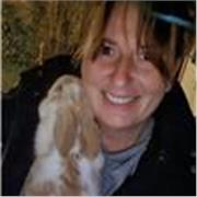 Deutsch für Anfänger, Grund- und Mittelschule