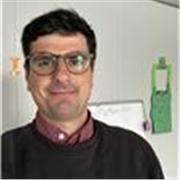 Profesor de español, humanidades y educación especial con amplia  experiencia en el extranjero