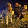 Yeni bir şeyler öğrenmek ister misiniz size yardımcı olmaktan mutluluk duyarım