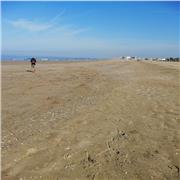 Profesora nativa busca grupo de empresa para formar profesionales