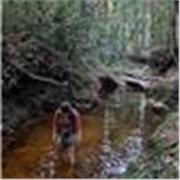 Etudiante Master Ecologie Cours à Distance et Soutien Long Terme