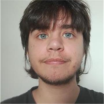 Lírio