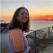 Storia dell’arte a studenti di tutte le classi