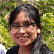 Profesor particular de inglés para clases online