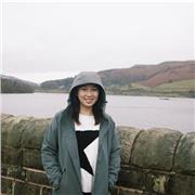 Wenyi