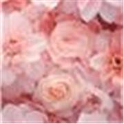 Cerchi un tutor per ripetizione? I'll help you