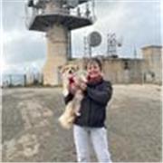 Cours de soutien en orthographe .. dictée , dissertation Rédaction