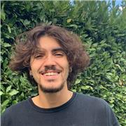 Laureato in Psicologia offre aiuto compiti e lezioni individuali in presenza