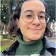 Offro lezioni di materie umanistiche: letteratura italiana, storia, filosofia