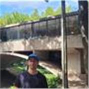 ?Física Universitaria sin complicaciones: De la teoría a la resolución de problemas (Mecánica, Electromagnetismo y más)