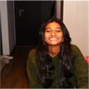 Professeur particulier anglais et expérimenté (primaire/College)