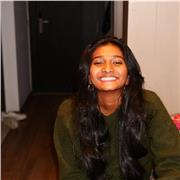 Aide pour tous types de devoirs (Collège, primaire)