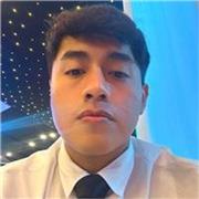 Profesor de matemáticas (nivel secundaria y pre-universitario)