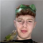 Caolan