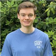 Maths tutor providing lessons for students at both GCSE and A-level