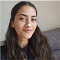 Çevrimiçi matematik dersi verilir. İlkokul ve ortaokul öğrencilerine matematik dersi verilir