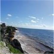 Docente de ciencias químico biológicas nivel bachillerato, mejora tus notas aprendiendo de forma practica y divertida