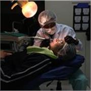 profesor de historia del arte en instituciones privadas