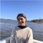 Clases particulares de matemáticas para cualquier nivel, tanto presenciales como online.