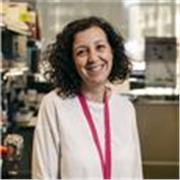 Imparto clases en el ámbito de las ciencias a alumnos que las necesiten