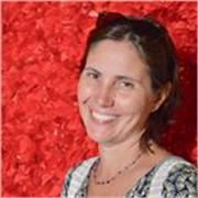 offro ripetizioni online o in presenza  a ragazzi di medie o superiori 